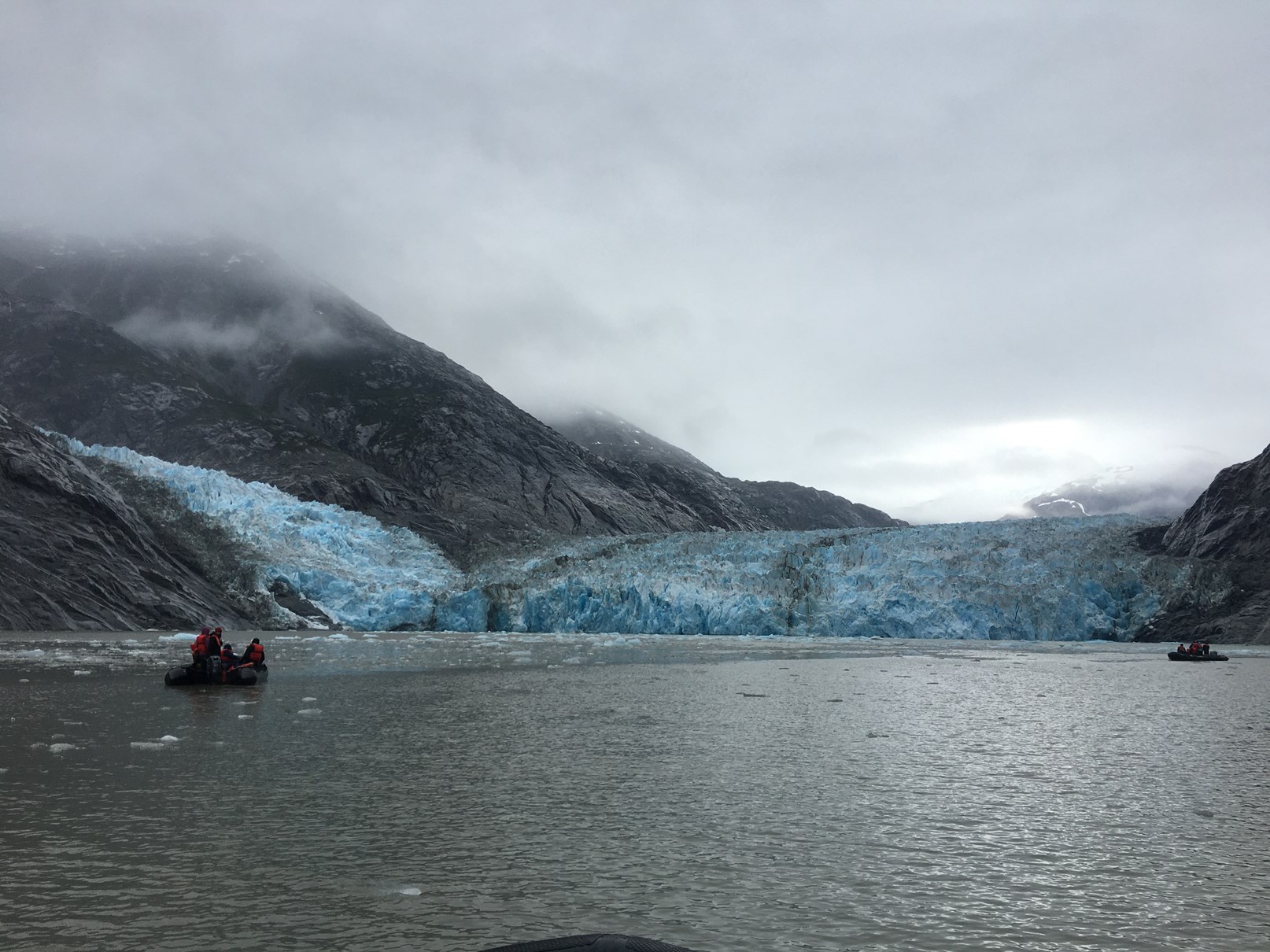 Dawes Glacier, Endicott Arm 8182021 National Geographic Sea Lion